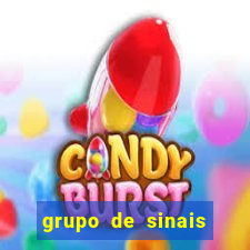 grupo de sinais fortune rabbit